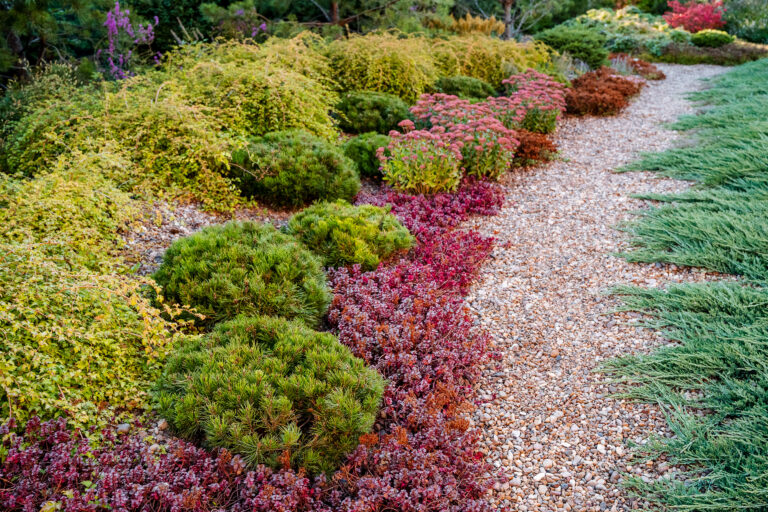A beautiful garden that is filled with a wide variety of different types of plants and colorful flowers, creating a vibrant and lively atmosphere for everyone to enjoy and appreciate