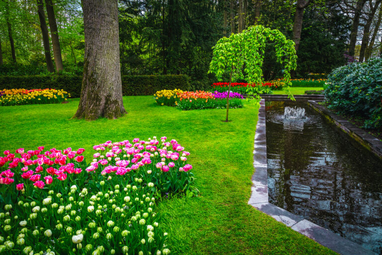 Keukenhof garden decorated with small fountain and various colorful tulip collections. One of the most famous ornamental garden in Europe, Lisse, Netherlands, Europe